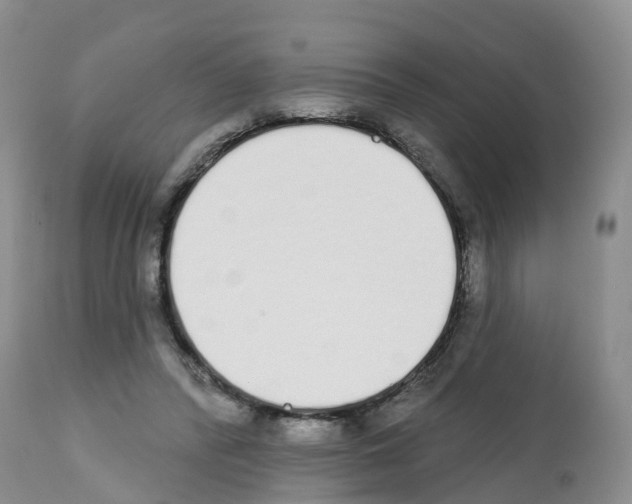 X0000112500400200909281202