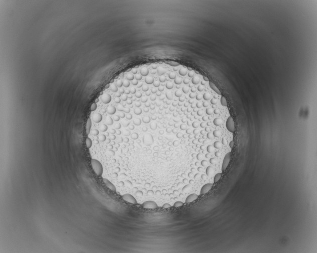 X0000112500402200909281202