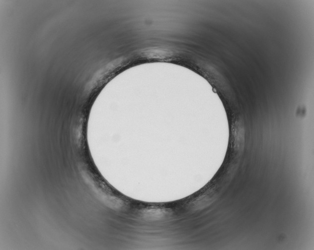 X0000112500404200909281202