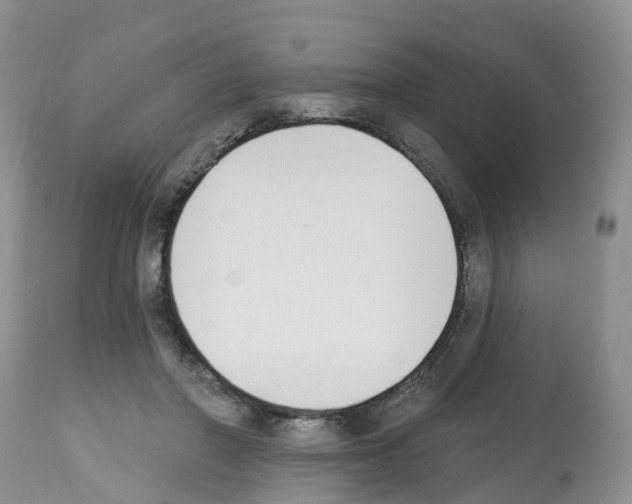 X0000112500406200909281202