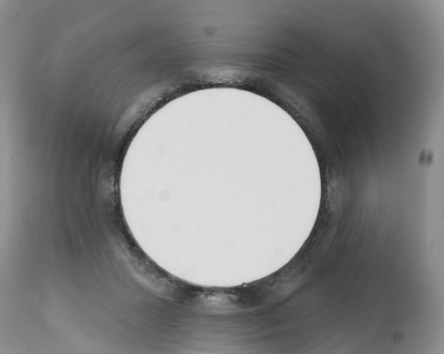 X0000112500407200909281202