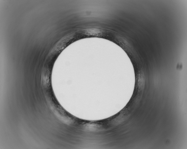 X0000112500408200909281202