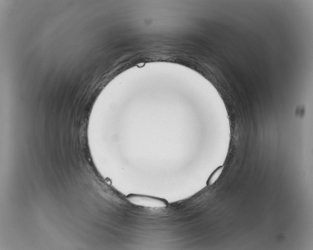 X0000112500409200909281202