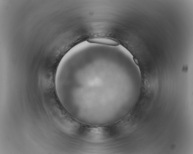 X0000112500411200909281202