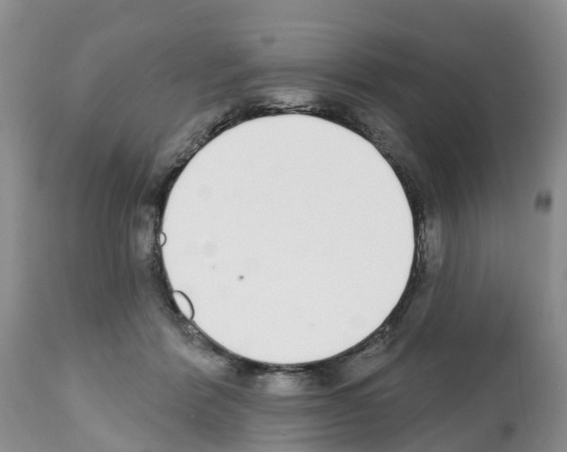 X0000112500412200909281202