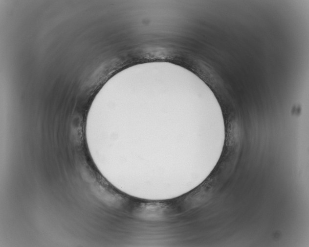 X0000112500414200909281202