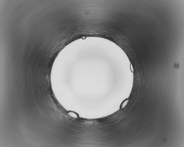 X0000112500415200909281202