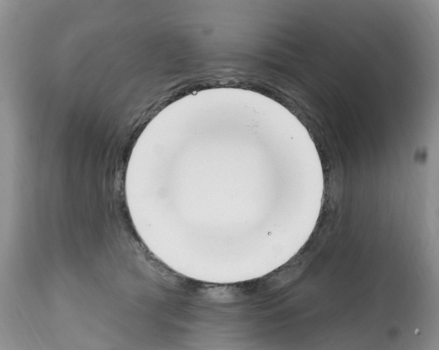 X0000112500417200909281202