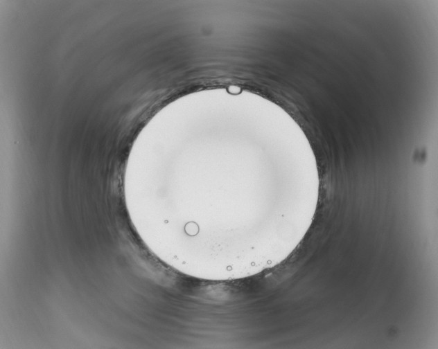 X0000112500423200909281202