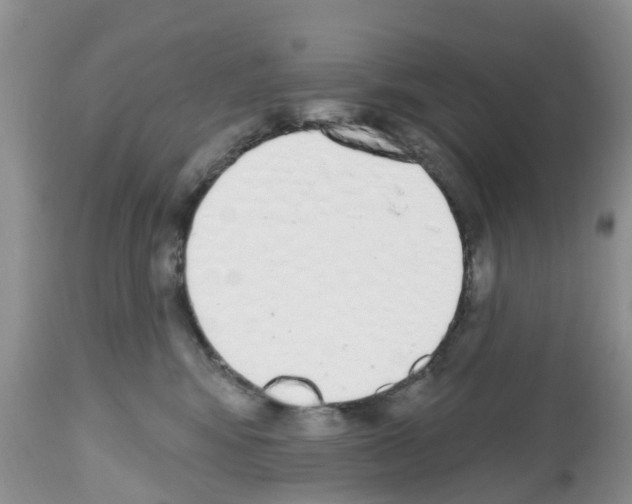 X0000112500424200909281202