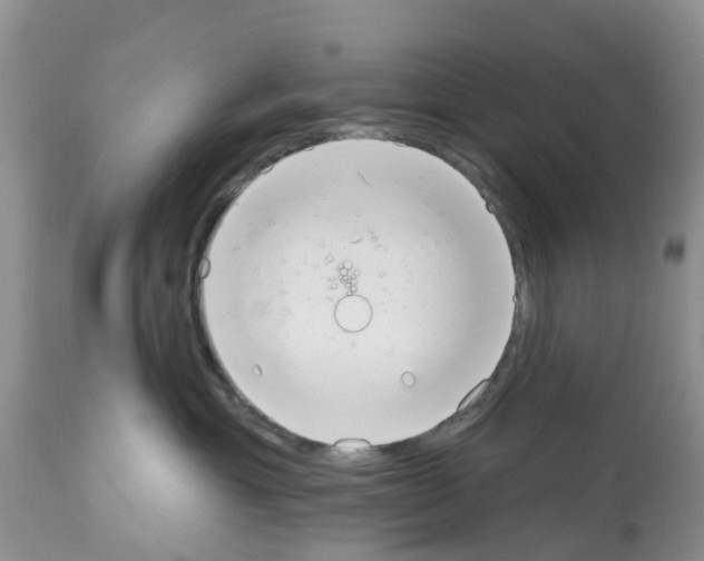 X0000112500429200909281202