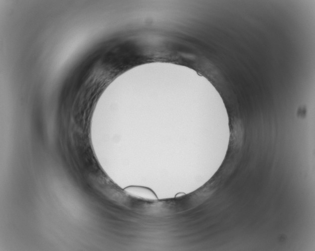 X0000112500430200909281202