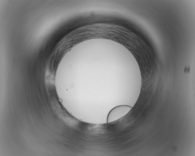 X0000112500431200909281202