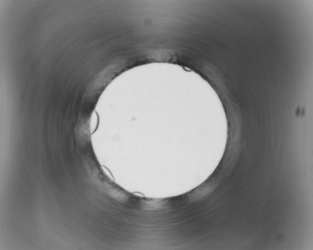 X0000112500432200909281202