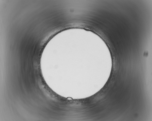 X0000112500434200909281201