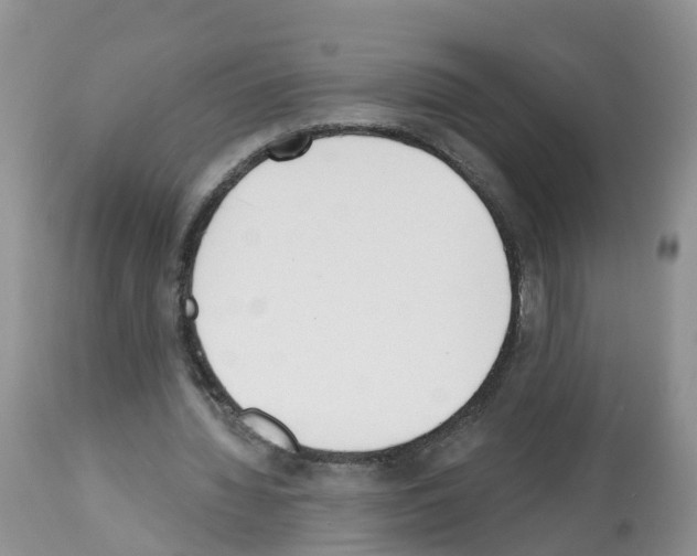 X0000112500436200909281201