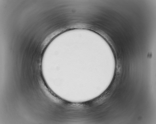 X0000112500437200909281201