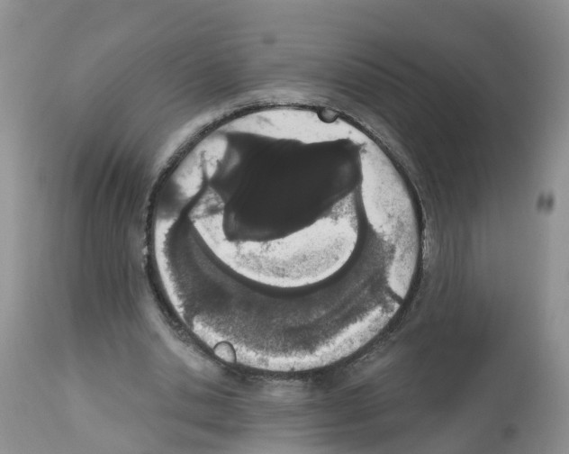 X0000112500438200909281201