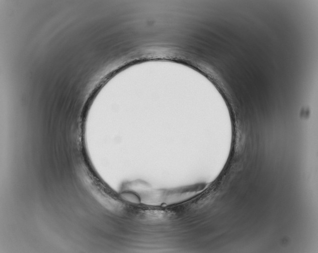 X0000112500439200909281201