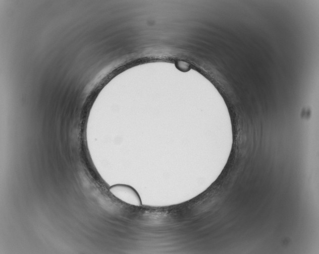 X0000112500440200909281201