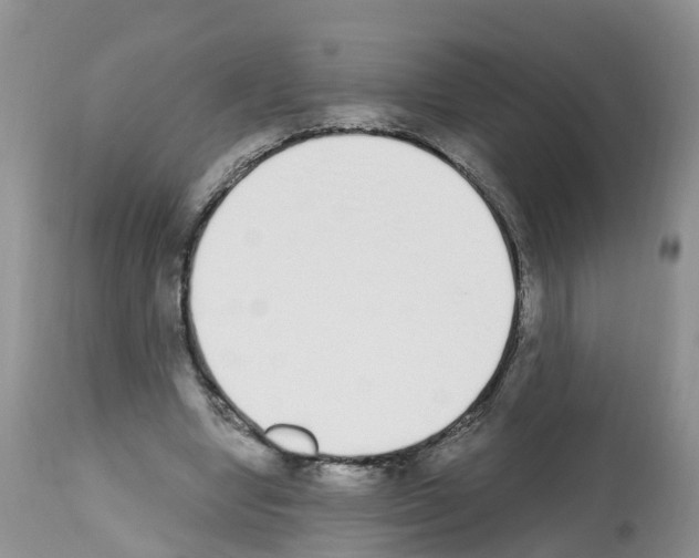 X0000112500442200909281201