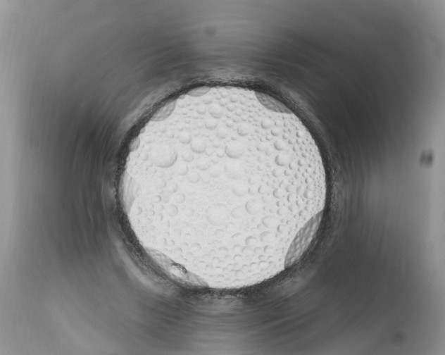 X0000112500443200909281201