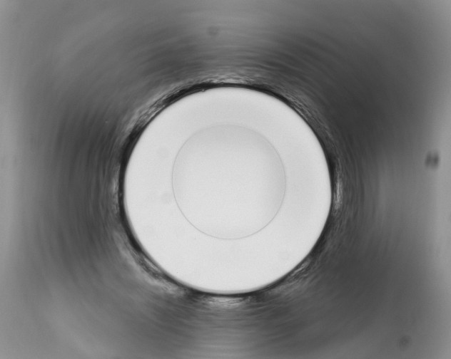 X0000112500444200909281201