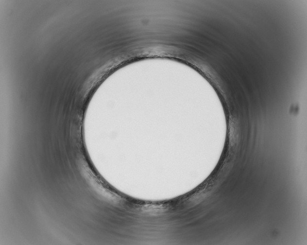 X0000112500445200909281201