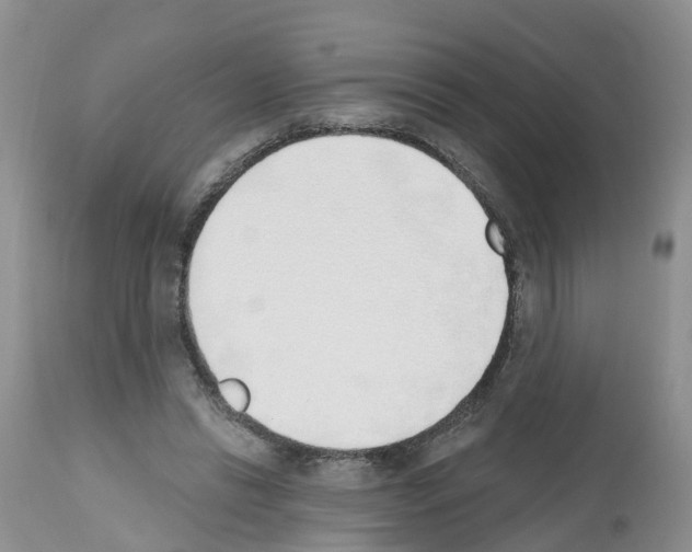 X0000112500446200909281201