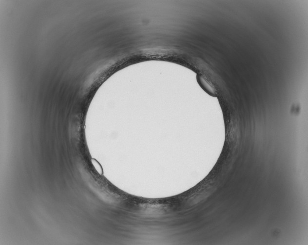 X0000112500448200909281201