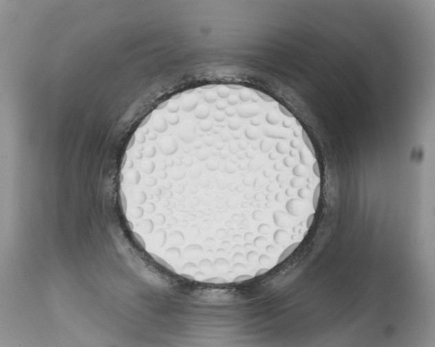 X0000112500449200909281201