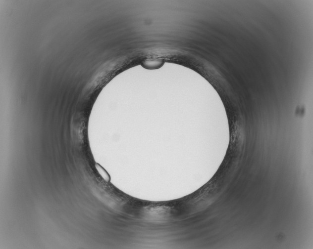 X0000112500452200909281201