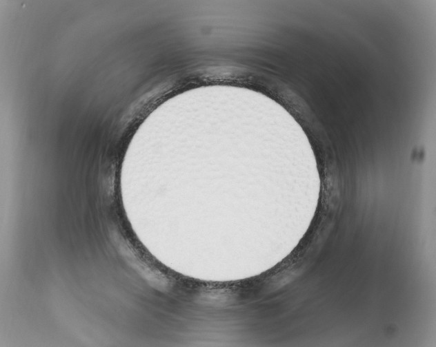 X0000112500454200909281201