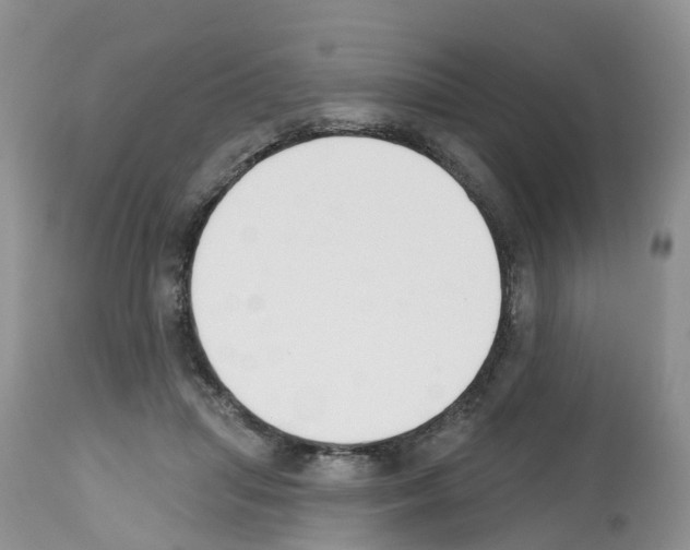 X0000112500455200909281201