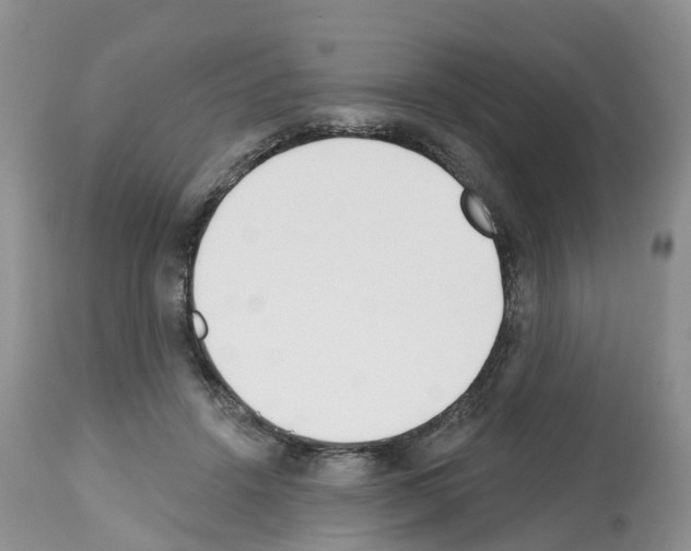 X0000112500456200909281201