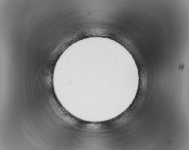 X0000112500457200909281201