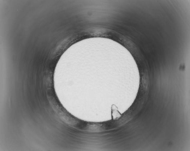 X0000112500461200909281201