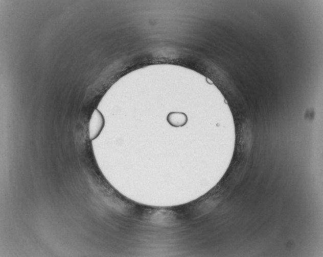 X0000112500463200909281202