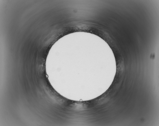 X0000112500464200909281202