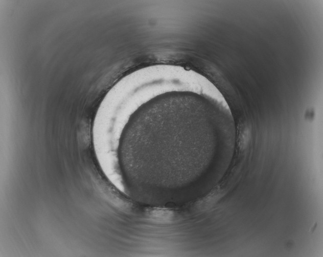 X0000112500471200909281202