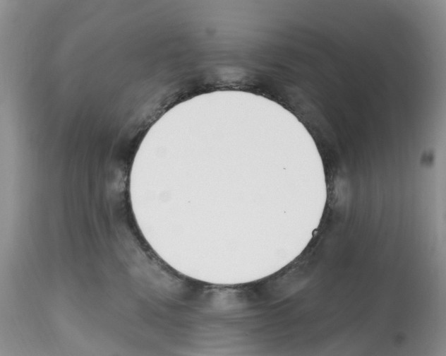 X0000112500472200909281202