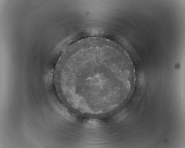 X0000112500475200909281202