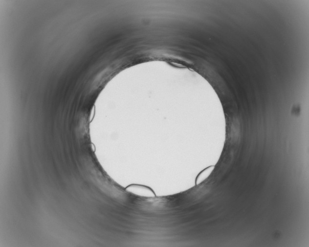 X0000112500478200909281202