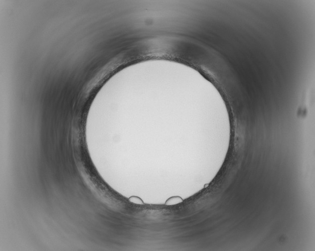 X0000112500482200909281201