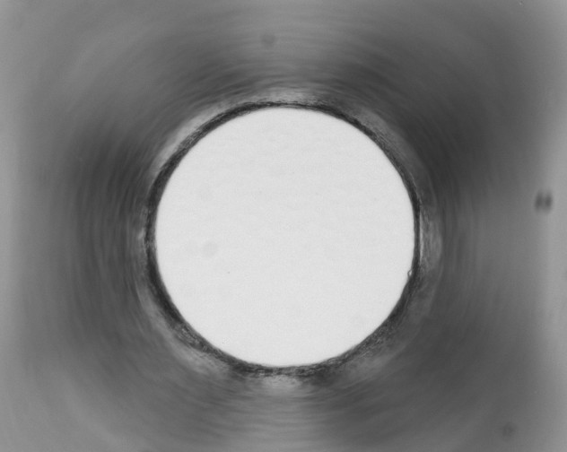 X0000112500483200909281201