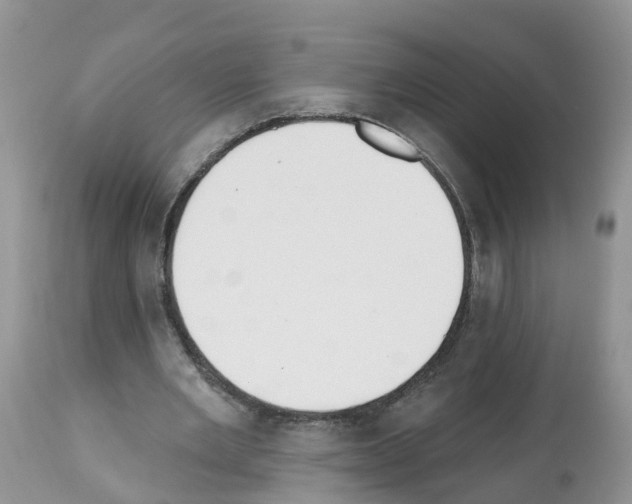 X0000112500485200909281201