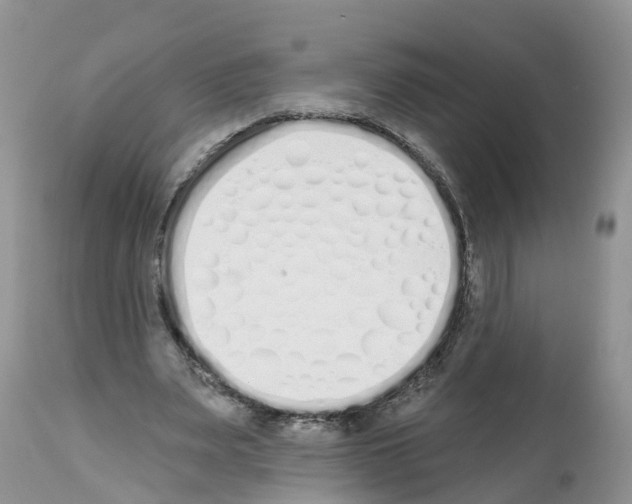 X0000112500487200909281201