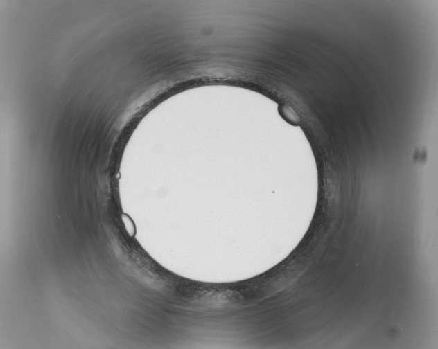 X0000112500488200909281201