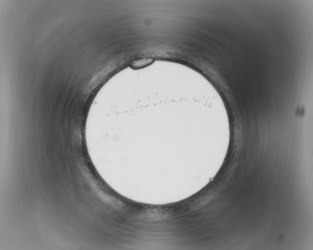 X0000112500489200909281201