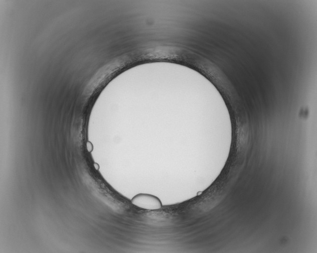 X0000112500490200909281201